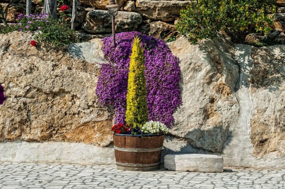 Country house Il Giardino Dei Flintstones
